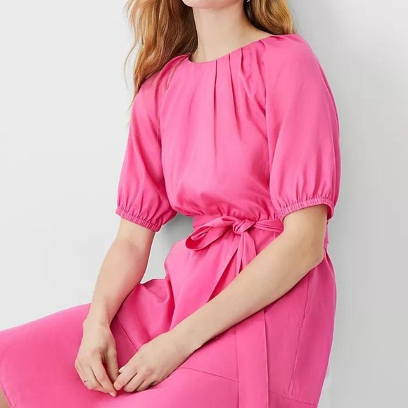 NWT Ann Taylor Pleated Flare Pocket Dress - Picture 4 of 4